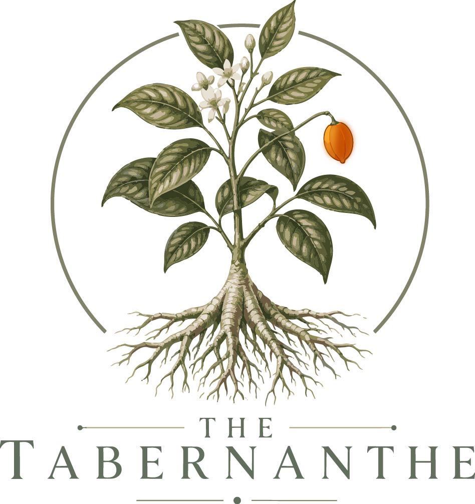 The Tabernanthe