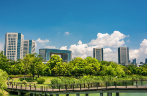 Building Resilience